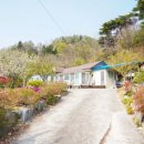 별빛담은펜션 이미지