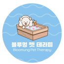 블루멍 펫 테라피 이미지