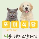 FORME:포미 이미지