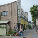 제1능이버섯 - 양산시 | 제1능이버섯
