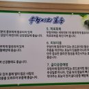 우렁이 봉쌈밥 네이버블로그