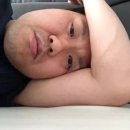 자연의선율 | w03) 본식스냅 선율, 결혼식 하루를 맡길 곳 고민 끝 계약 후기