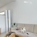 토리푸하우스 이미지