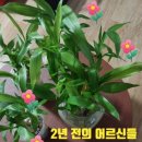 개운경로당 이미지