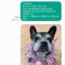 달달한댕 이미지