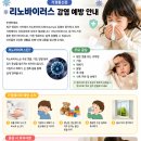 리노바이러스 1 이미지