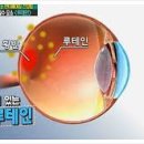 스마트웨이 - 화성시 | 스마트웨이