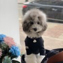 제이앤제이그루밍 이미지