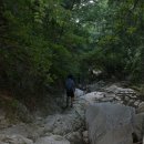 도마치계곡 이미지