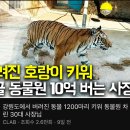 버려진 동물 1200마리 키워 10억 버는 시골동물원 이미지