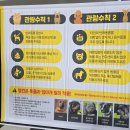 썸퍼피 | [2025 부산 반려동물 박람회] 랑이뽀기 애견동반 후기 PET&amp;MORE 참가업체들 사진