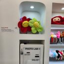 [용인 수지] 포토랩플러스 용인수지구청점 무인24시 사진데이트 항공샷 다락방컨셉