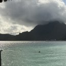 보라보라 | H12. 보라보라 하프데이 워터 액티비티 (스노클링) 짤막 후기 🌊🦈🪸🏝️