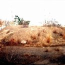 평택원정리유적 | 평택 원정리 유적(平澤遠井里遺蹟)