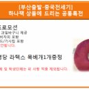 장사/장가계 6일[천문산+발마사지+특식3회+초특급5성호텔] 이미지