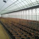 정돈농장 이미지