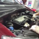 신호카클리닉 이미지