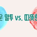 두컴퍼니 주식회사