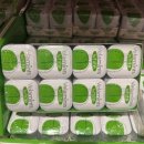 벨라시오 이미지