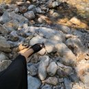 소리산스토리 이미지