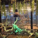 도고농장 이미지