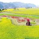 중앙2길 이미지