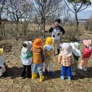 다숲 | 이천 어린이집 방문형 곤충체험 / 다숲어린이집 굼벵이 프로그램 후기