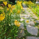 부곡복지관 | 안산 가볼만한곳 수국꽃 노랑 나리꽃 사계절 꽃을 볼 수 있는 부곡자연학습장