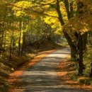 빛나는 사랑 이미지