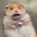 약명