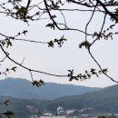 통영바다52유스호스텔