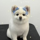 멍발소 하우스 이미지