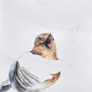 힐링 색연필화 이미지