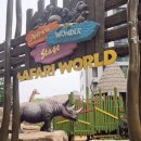 사파리공인중개사사무소 이미지