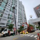 사하구-20 이미지