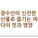 성광식품 | 성광수산의 신선한 해산물로 즐기는 여름 바다의 맛과 영양