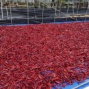 참새미골 이미지