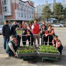 송라마을 이미지