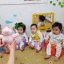 세준 카카오 검색결과