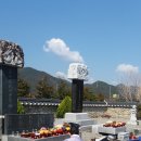 (주)세조 Daum카페