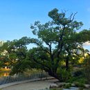 보라매공원 이미지