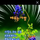 삼성부동산 이미지