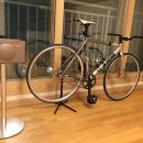 서광룩스 이미지