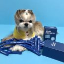 닥터랄랄라 이미지