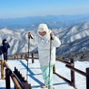 안성면105 네이버블로그