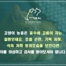 중곡동물병원 이미지