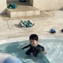 제주문릿 온수수영장 독채풀빌라 | 제주도 독채 풀빌라 펜션 제주 서귀포 가족 숙소 바불