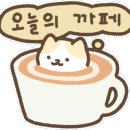 멍블리 애견카페 이미지