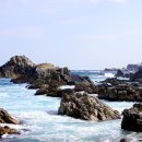 장호1리 이미지