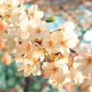 밝은한의원 이미지